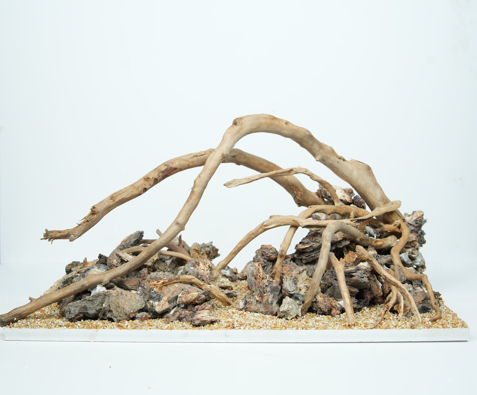 Stormfallen Roots