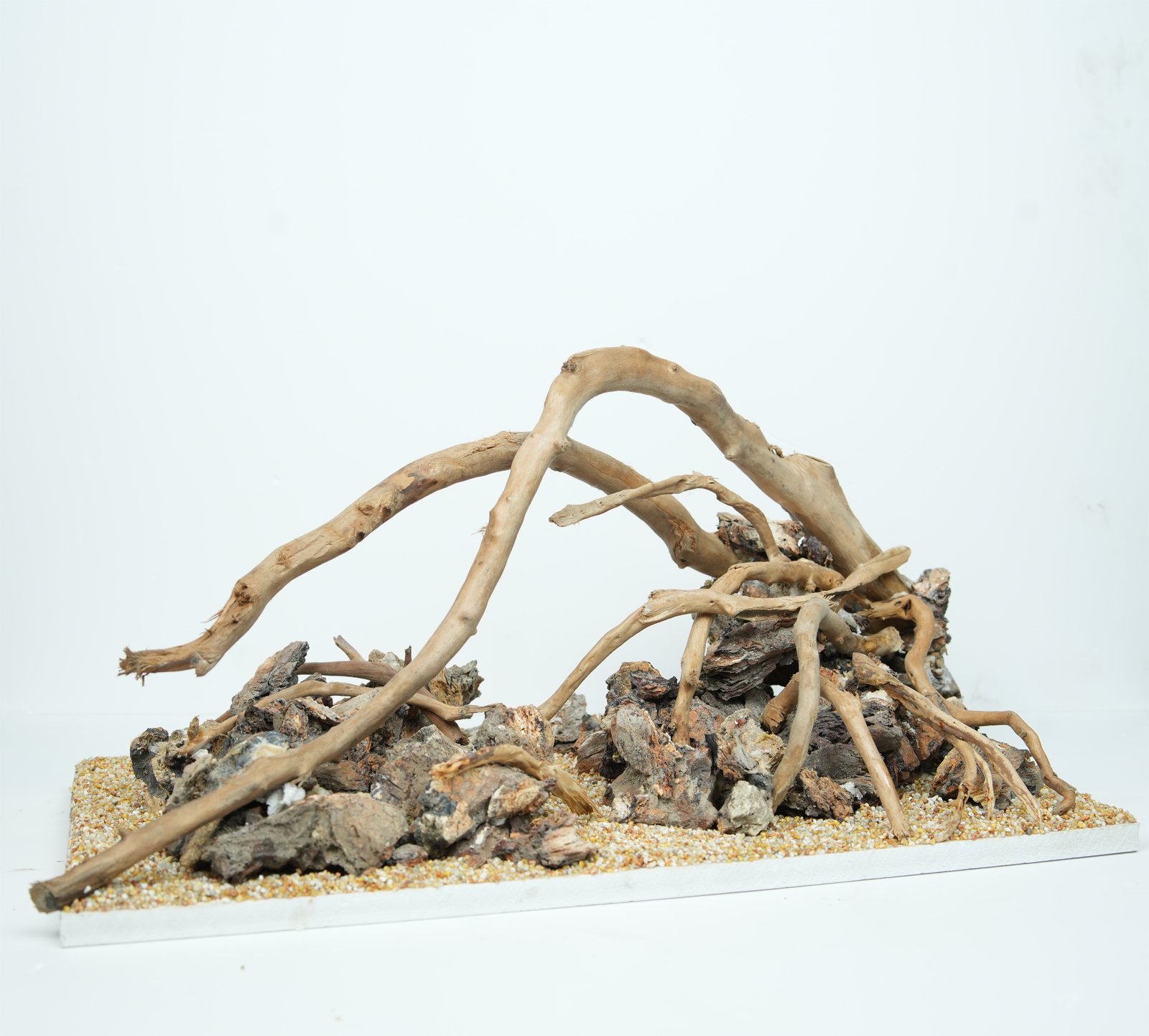 Stormfallen Roots