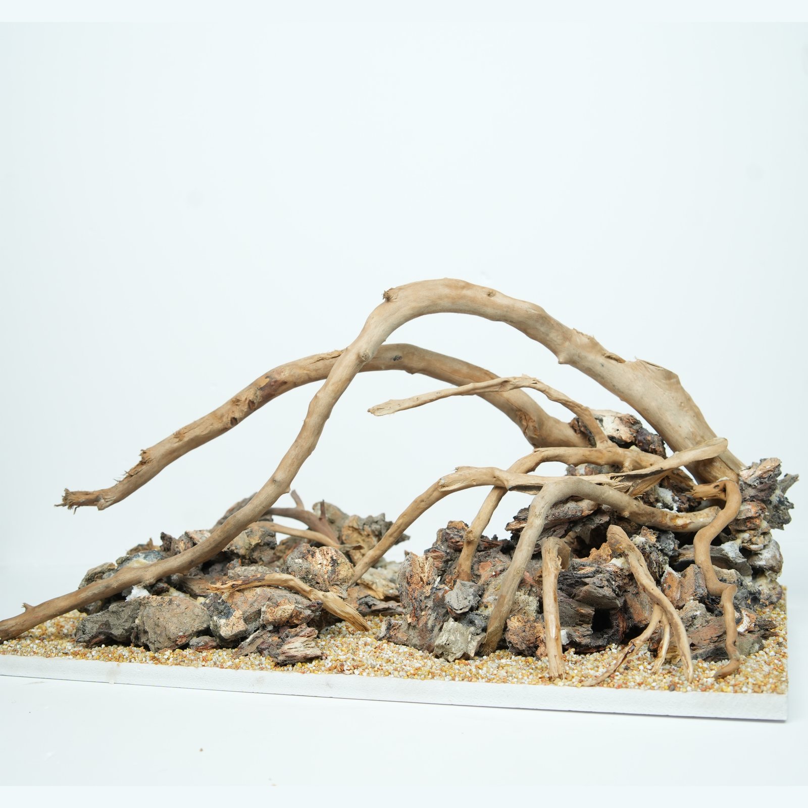 Stormfallen Roots