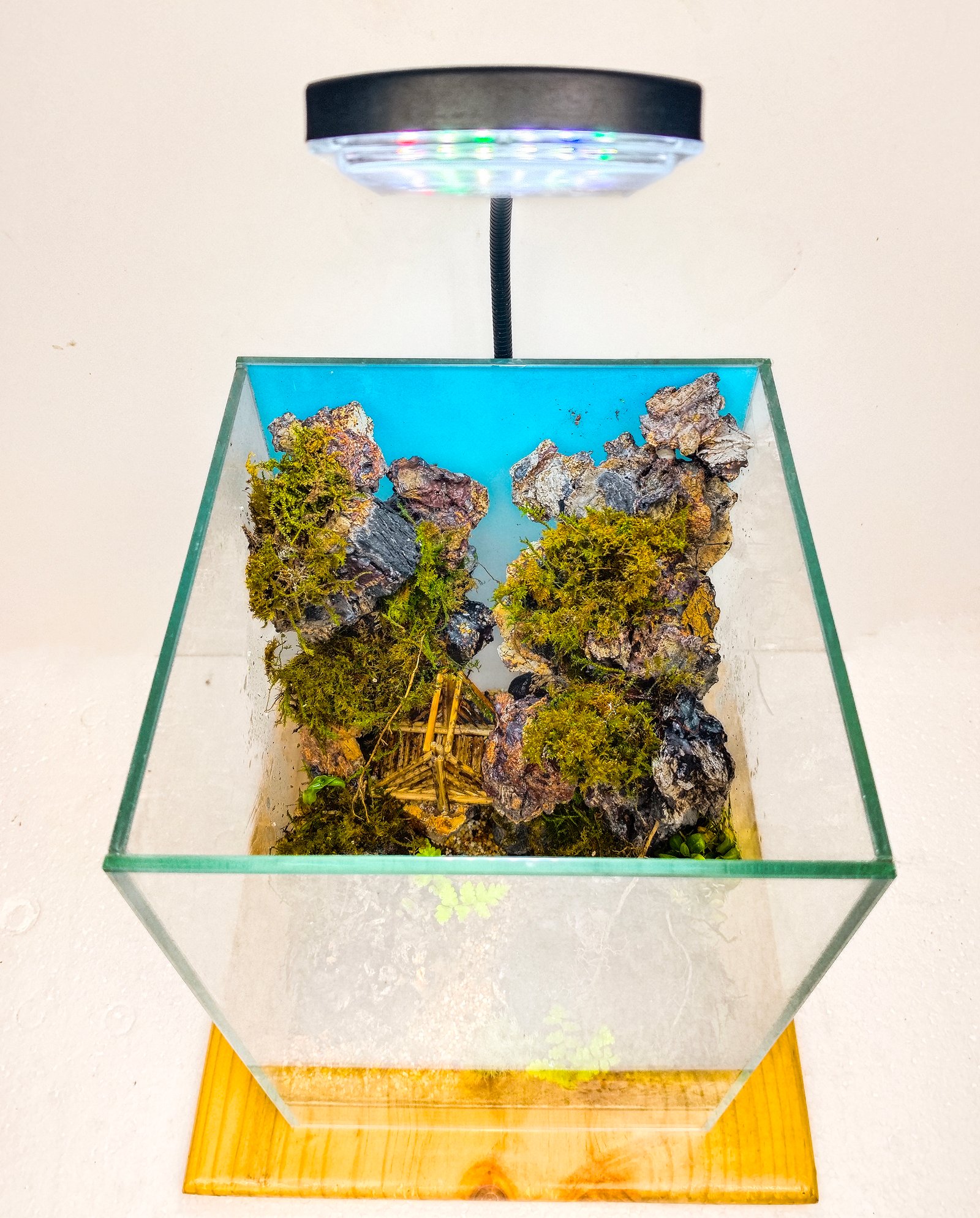 Hidden Valley Crossing