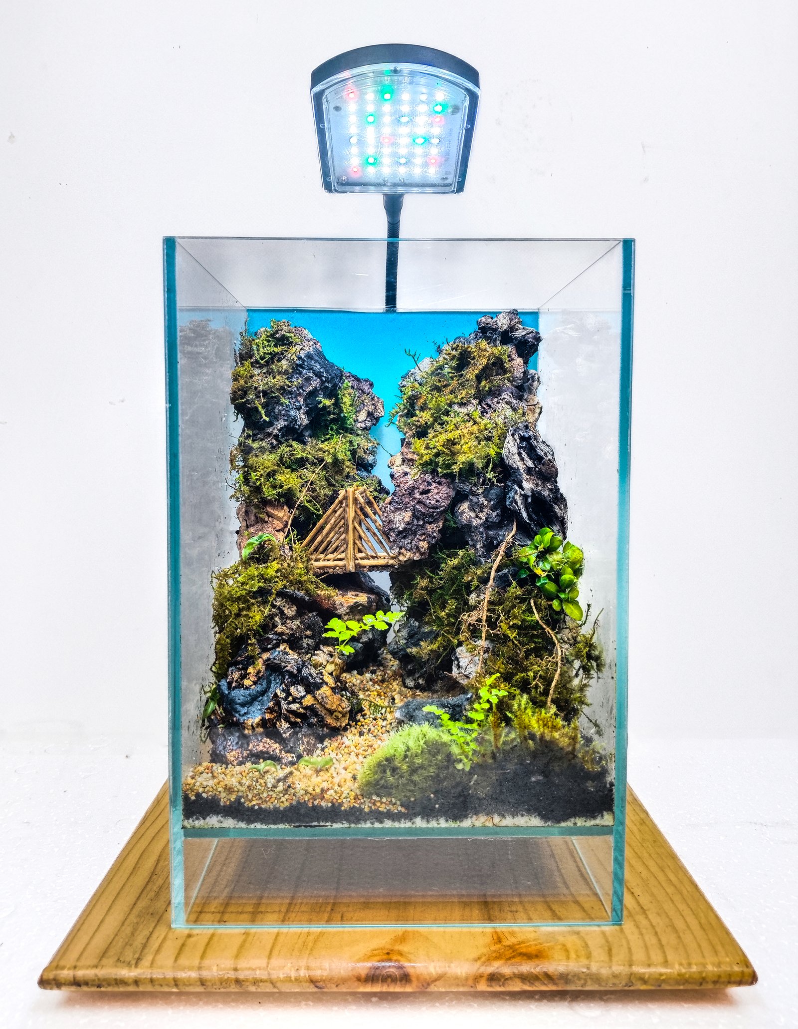 Hidden Valley Crossing