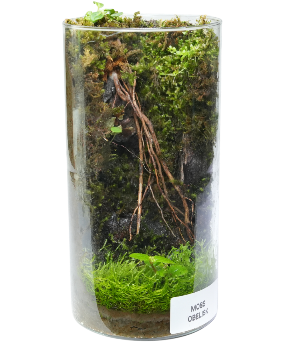 Moss Obelisk
