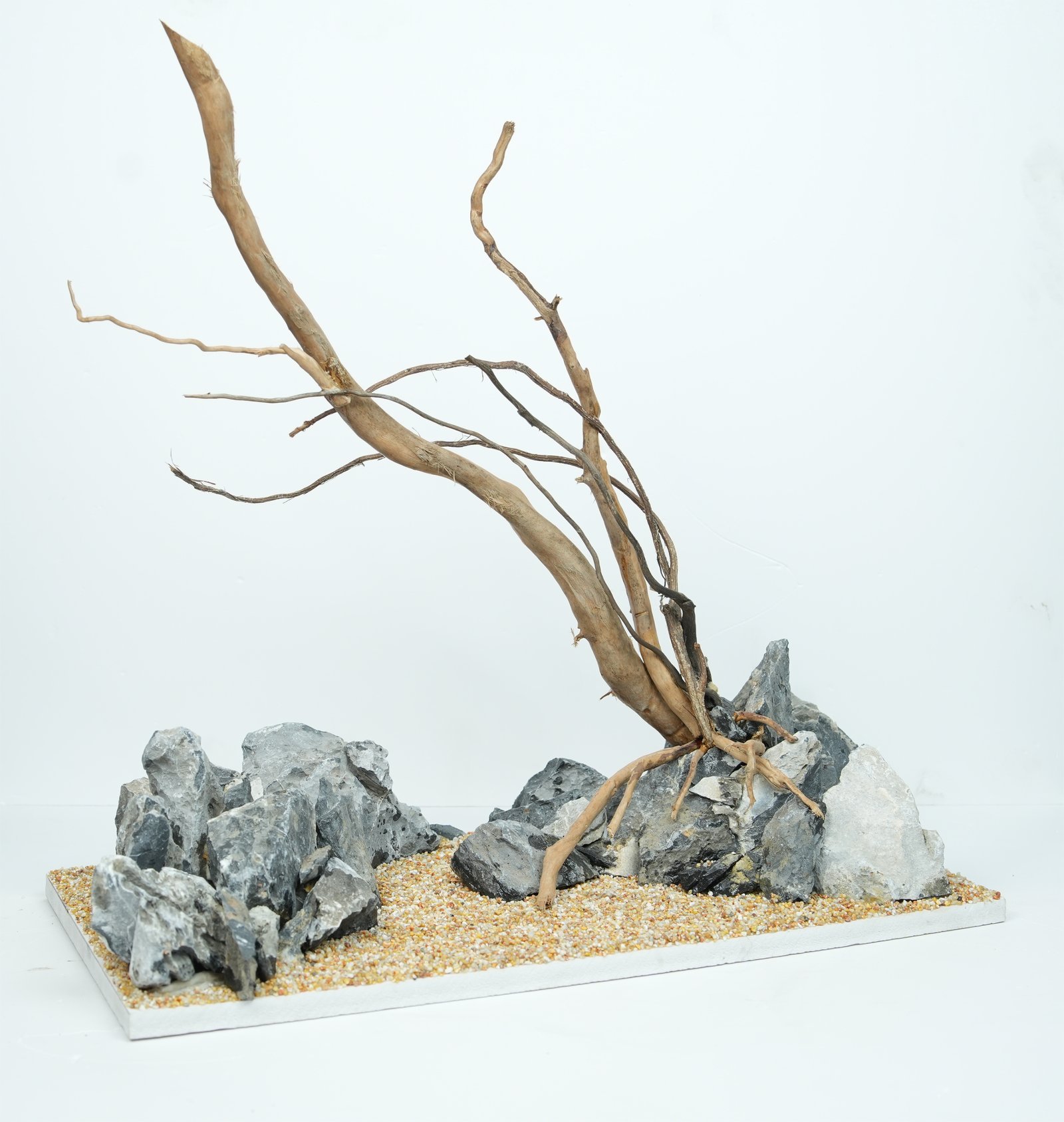 Roots of Resilience
