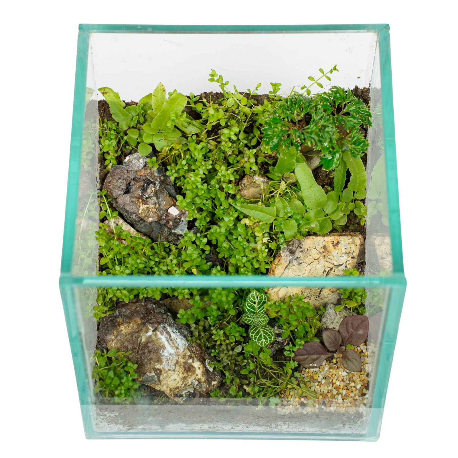 Emerald Valley – Miniature Green Paradise