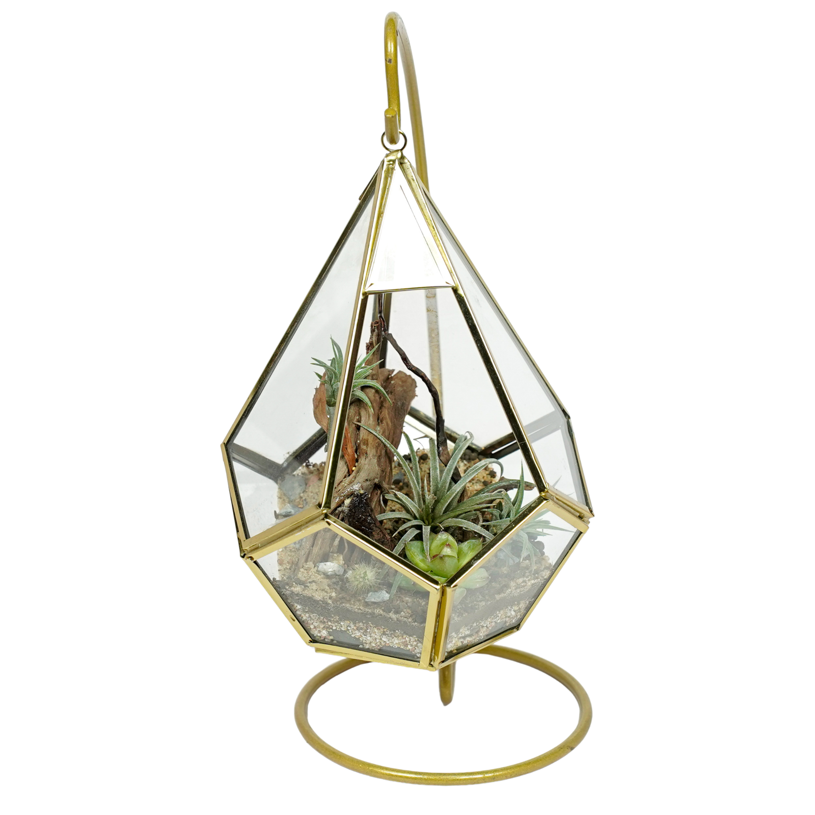 Golden Oasis Terrarium