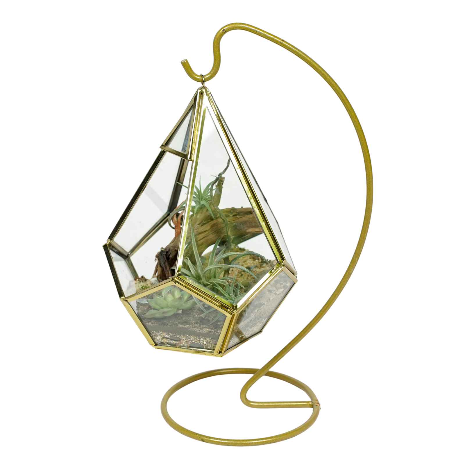 Golden Oasis Terrarium