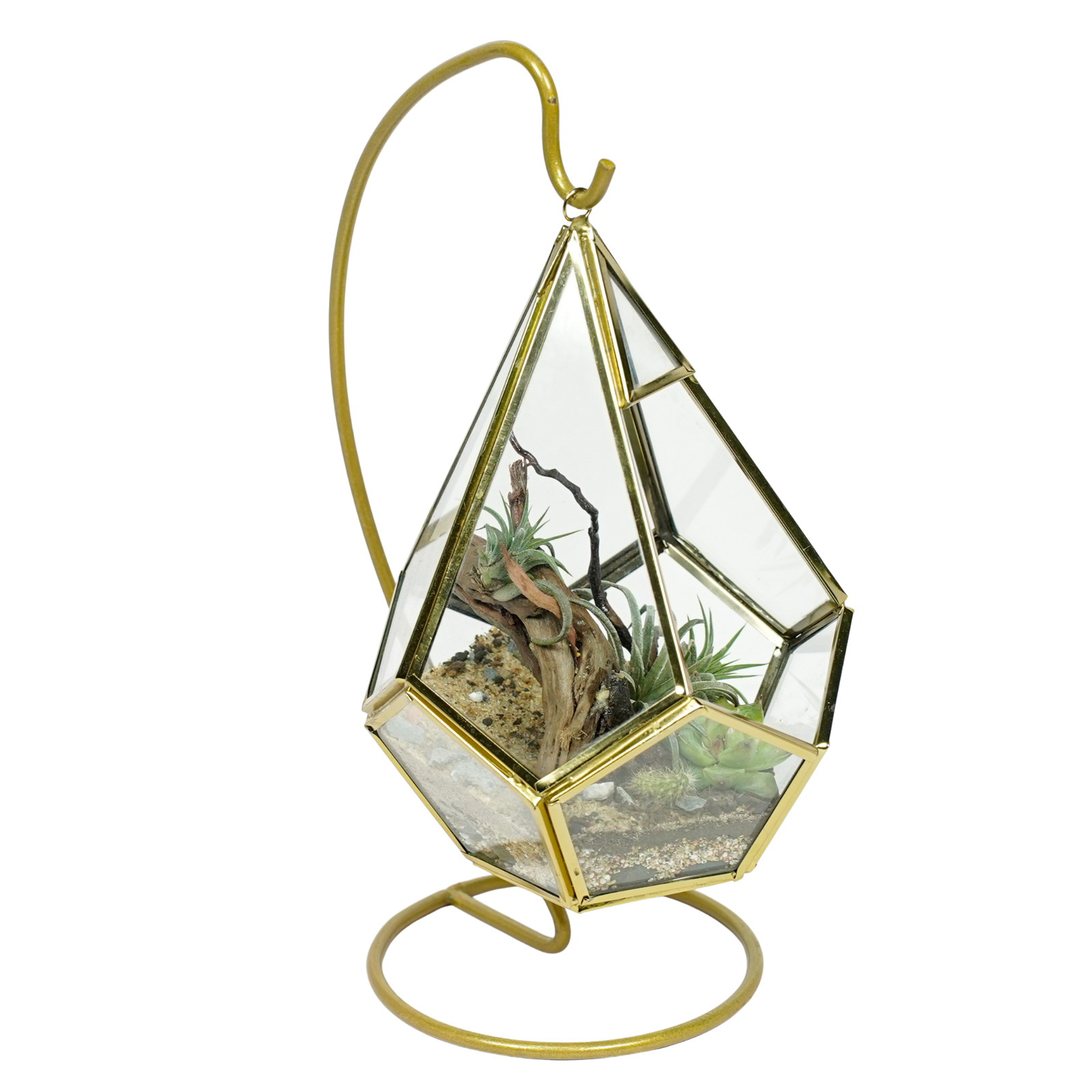 Golden Oasis Terrarium