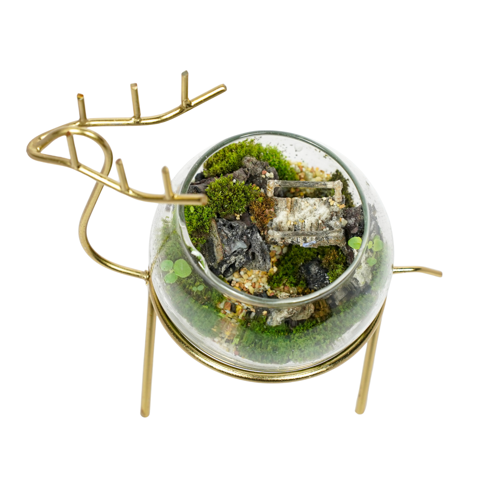 The Hidden Forest Haven