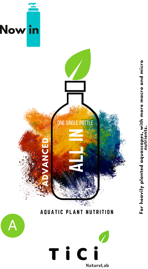 ALL IN ONE - Advance