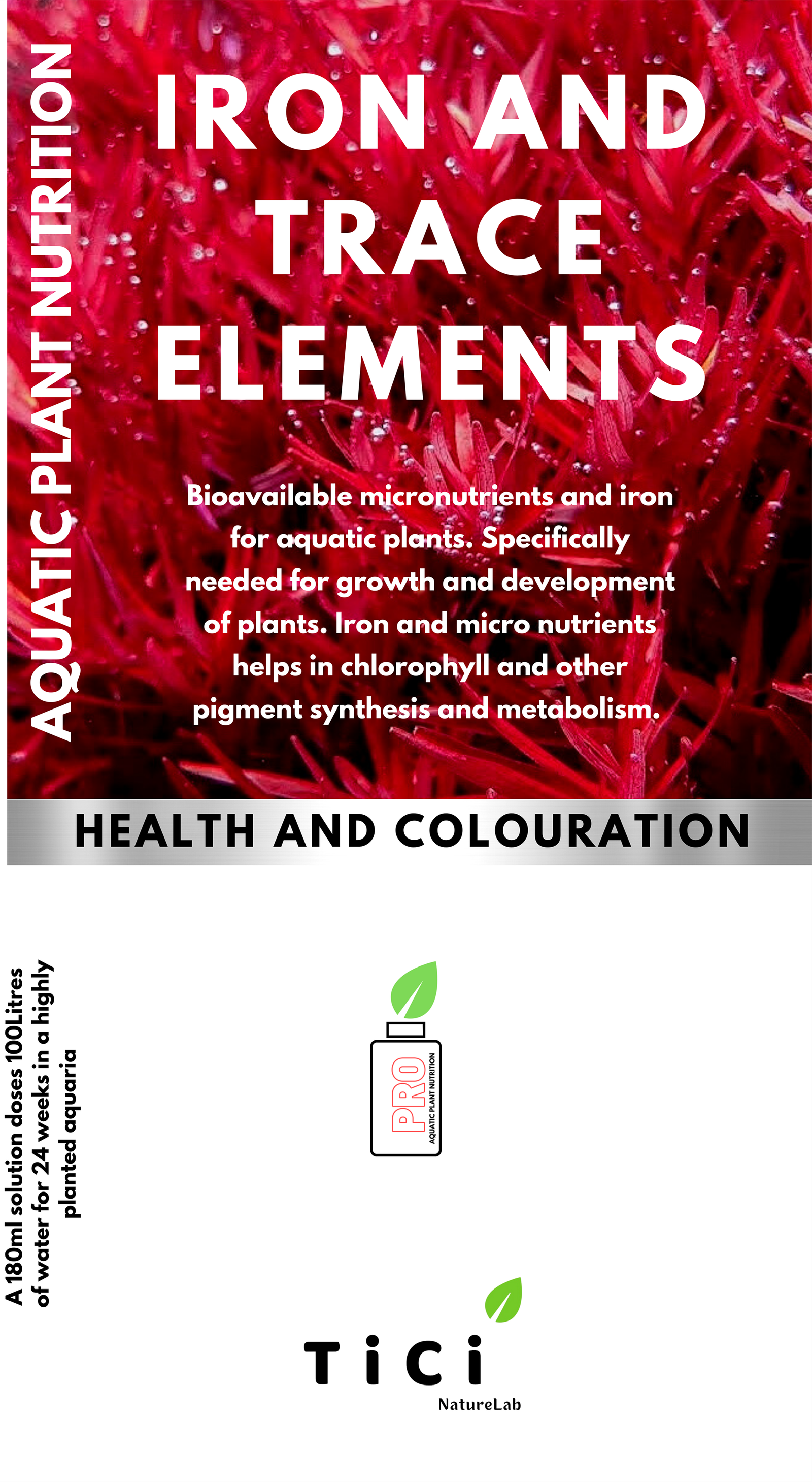 Iron and Trace Element