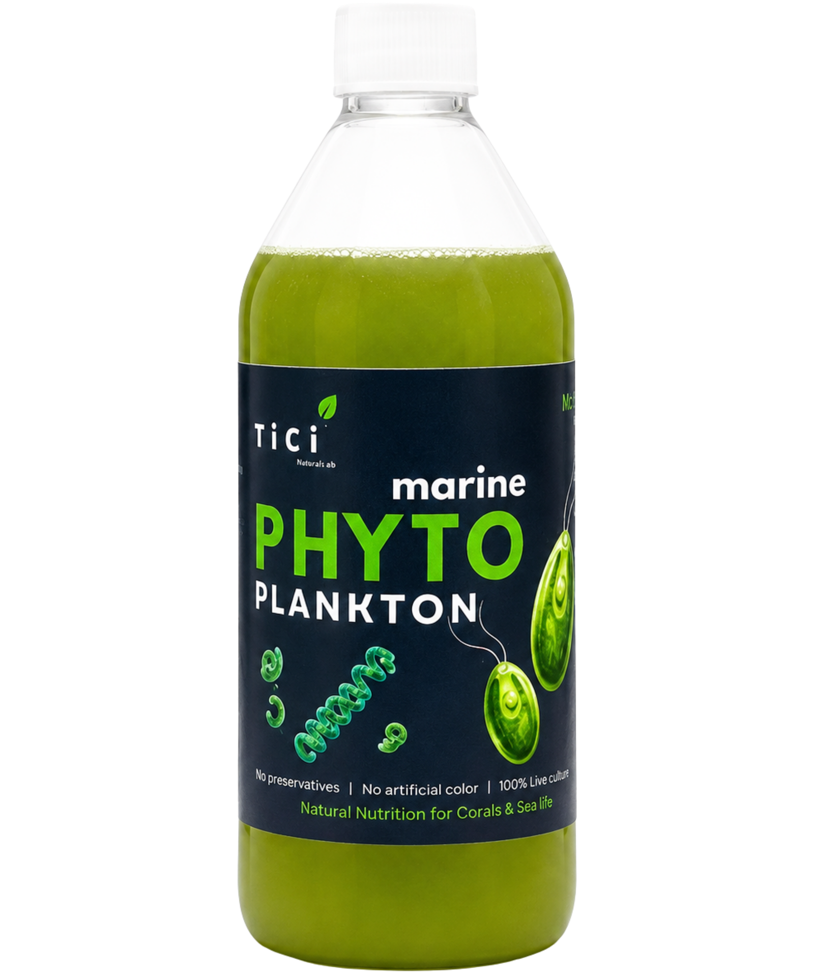 TiCi Marine Phytoplankton