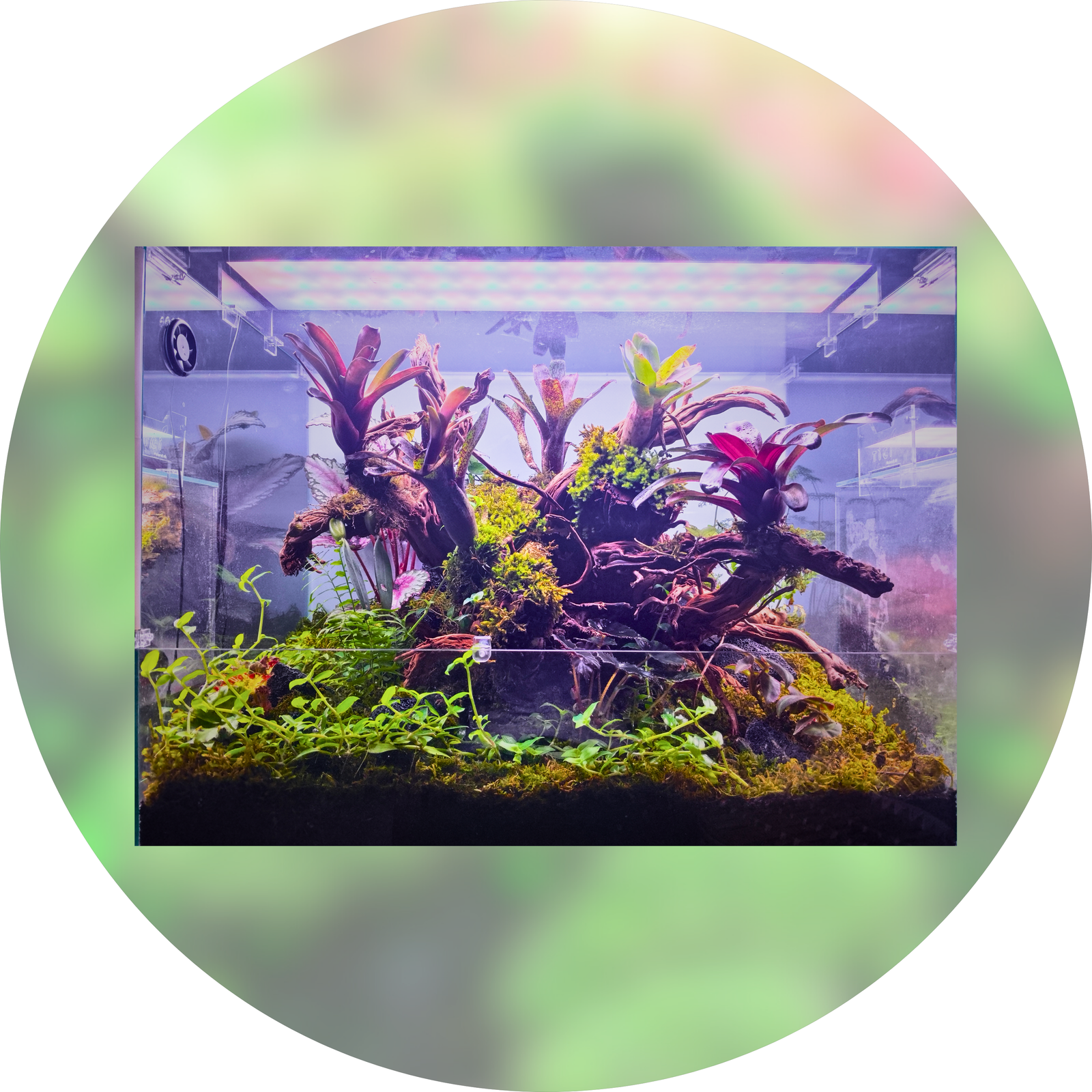 Vivarium